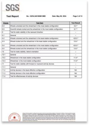SGS Test Report — Static Stability